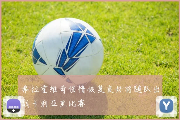 弗拉霍维奇伤情恢复良好将随队出战卡利亚里比赛