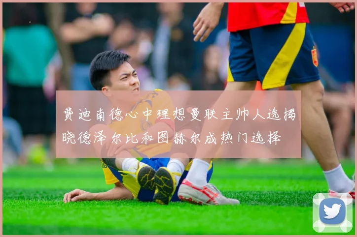 费迪南德心中理想曼联主帅人选揭晓德泽尔比和图赫尔成热门选择