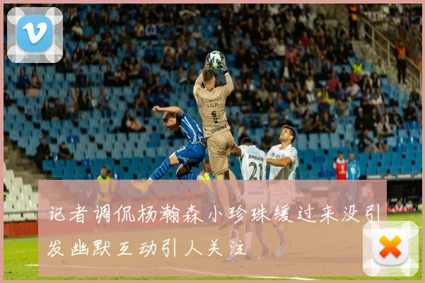 记者调侃杨瀚森小珍珠缓过来没引发幽默互动引人关注