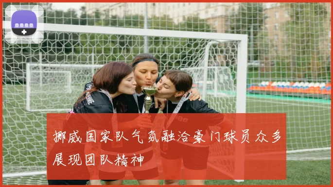 挪威国家队气氛融洽豪门球员众多展现团队精神