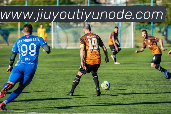 九游体育平台生态图